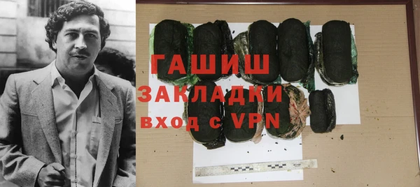 шишки Горняк