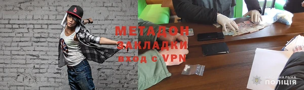 шишки Горняк