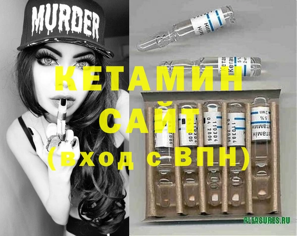 шишки Горняк