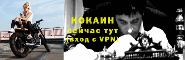 шишки Горняк