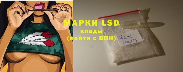 шишки Горняк