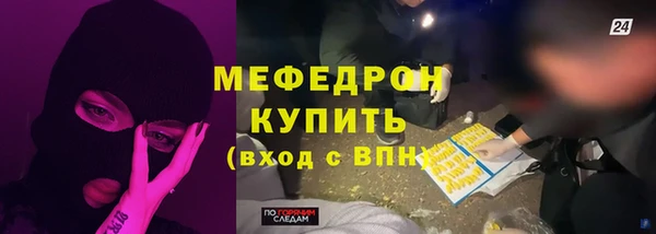 шишки Горняк