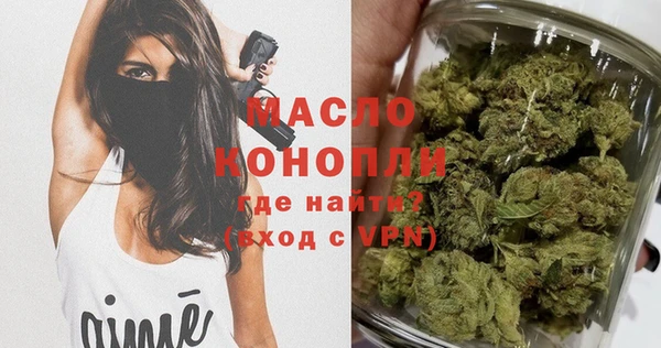 шишки Горняк