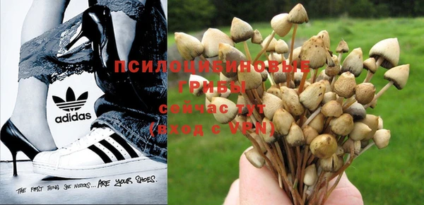 спиды Горно-Алтайск