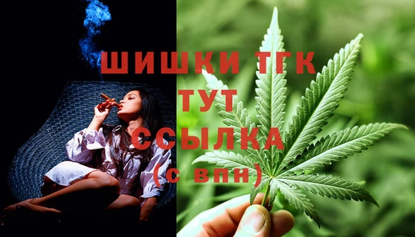 спиды Горно-Алтайск