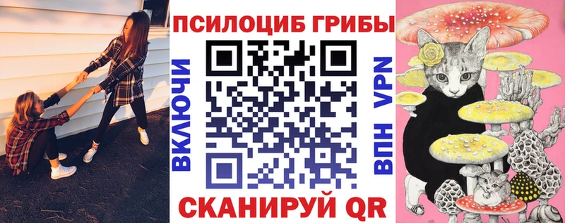 Купить где Сысерть Галлюциногенные грибы прущие грибы